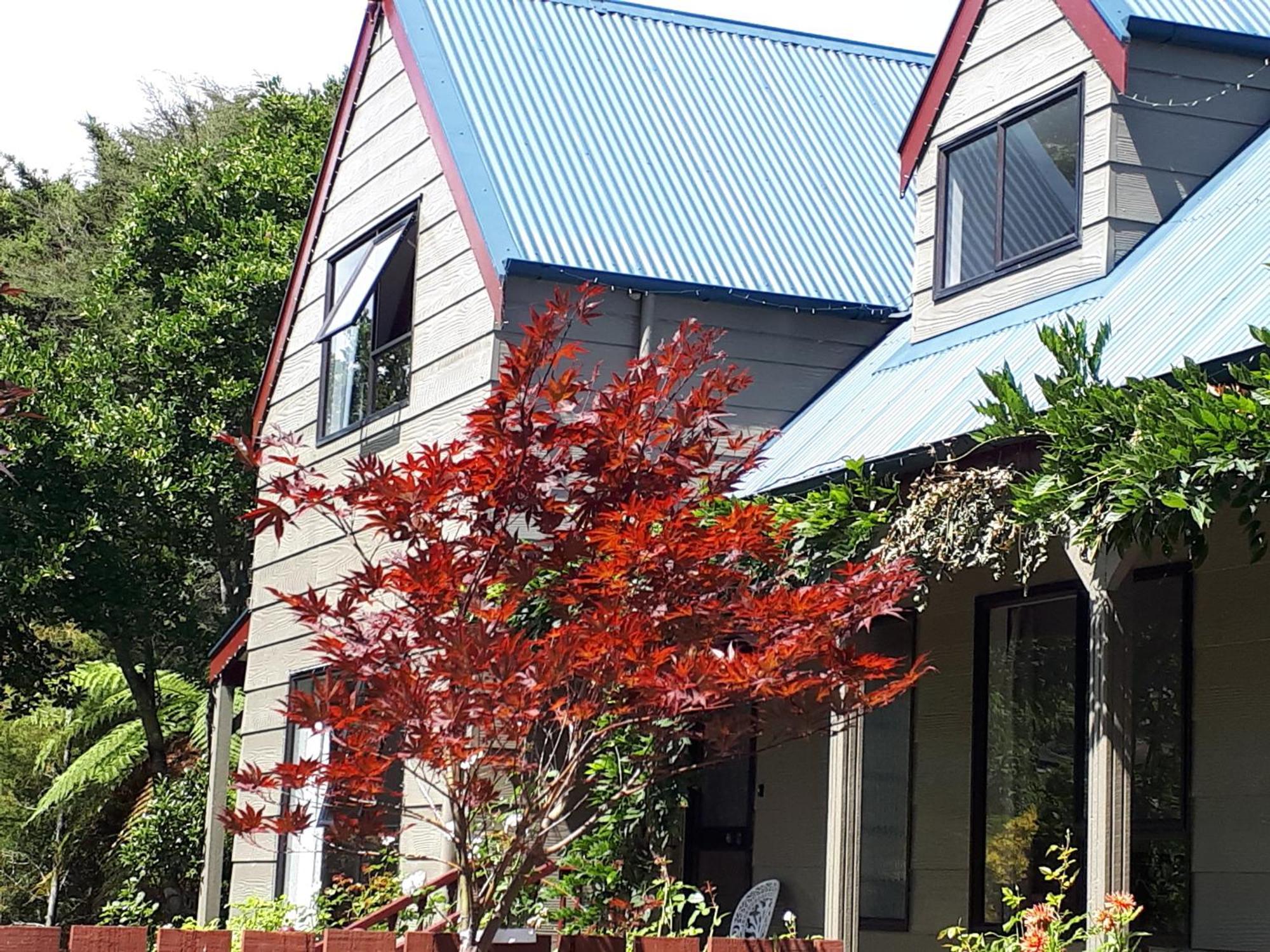 Rangaroa Heights Bed & Breakfast Taumarunui Exterior foto