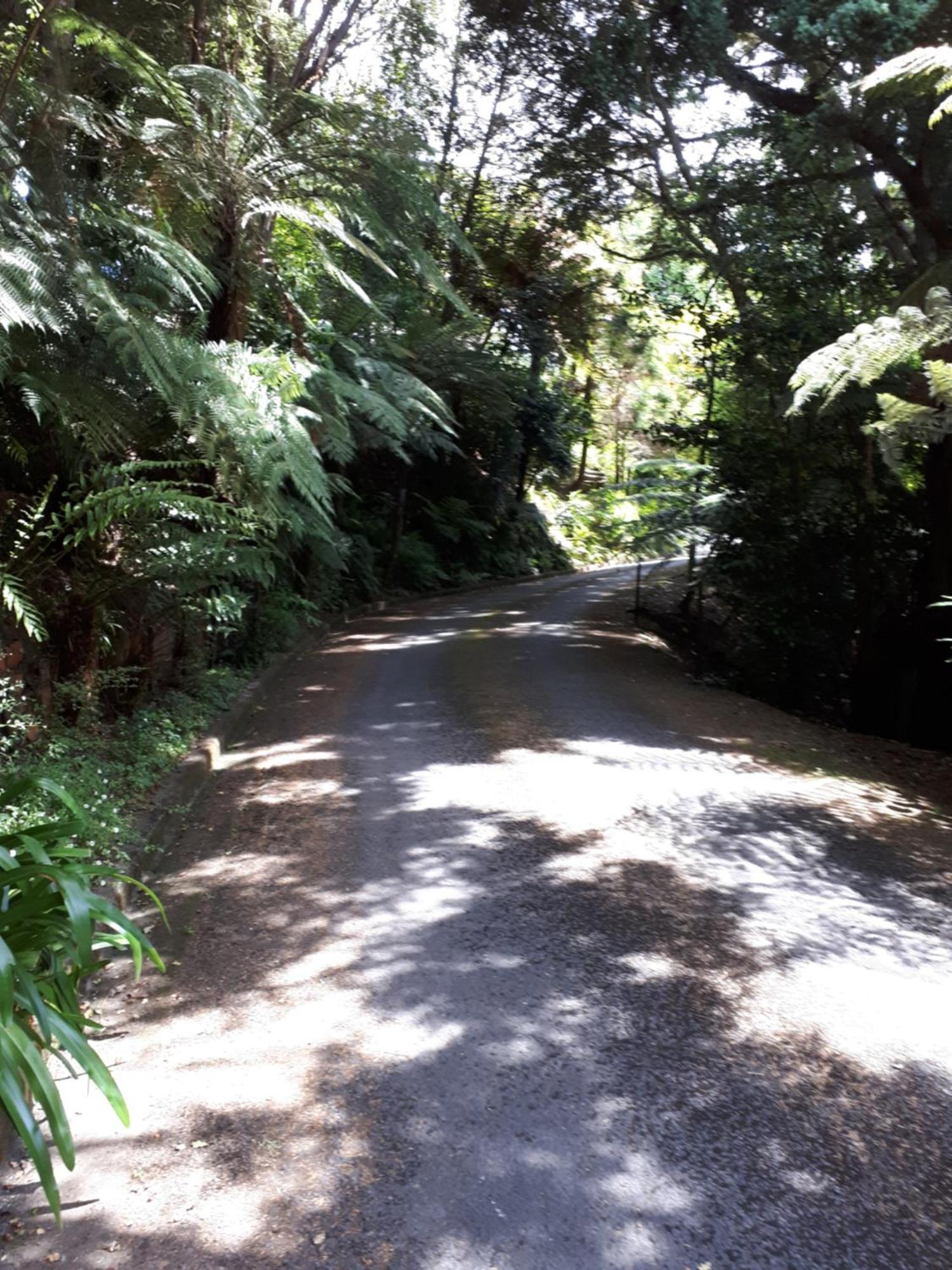 Rangaroa Heights Bed & Breakfast Taumarunui Exterior foto